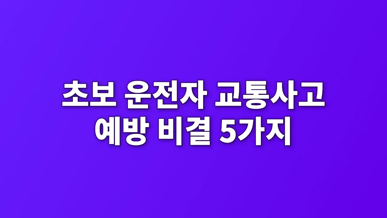 초보 운전자 교통사고 예방 비결 5가지